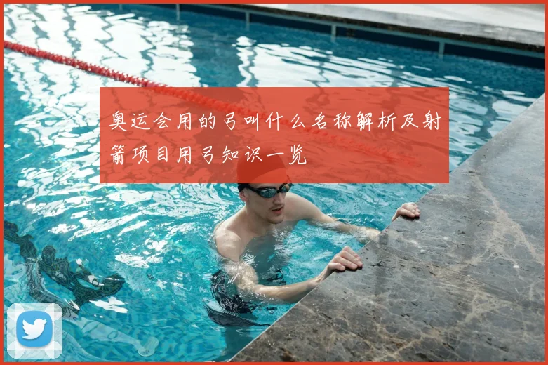 奥运会用的弓叫什么名称解析及射箭项目用弓知识一览